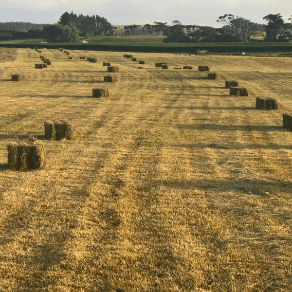 Who We Are, Farm Land, RVLP Family Office