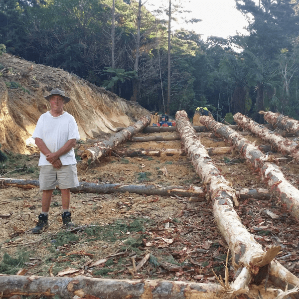 RVLP Family Office, Forestry, New Zealand